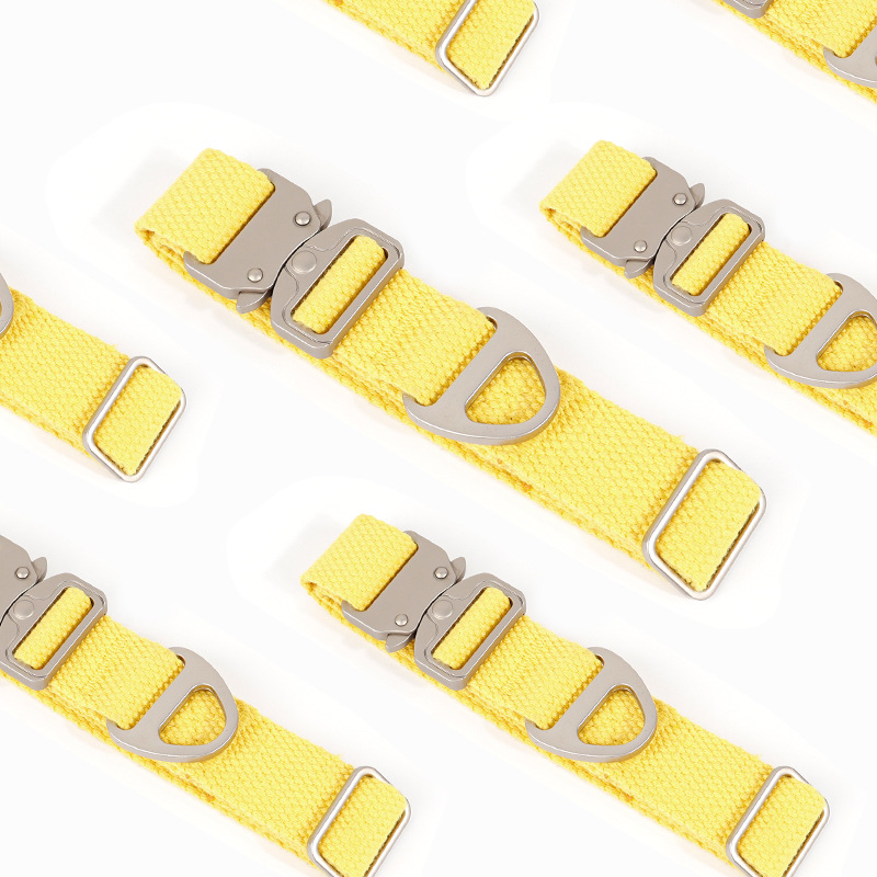 Custom Tactical Dog Collar - F - Outdoor Adventure Names 评论和价格